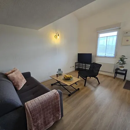 T1 Bis Duplex Cosy Cern And Geneve Apartment *