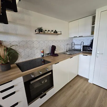 T1 Bis Duplex Cosy Cern And Geneve Apartment